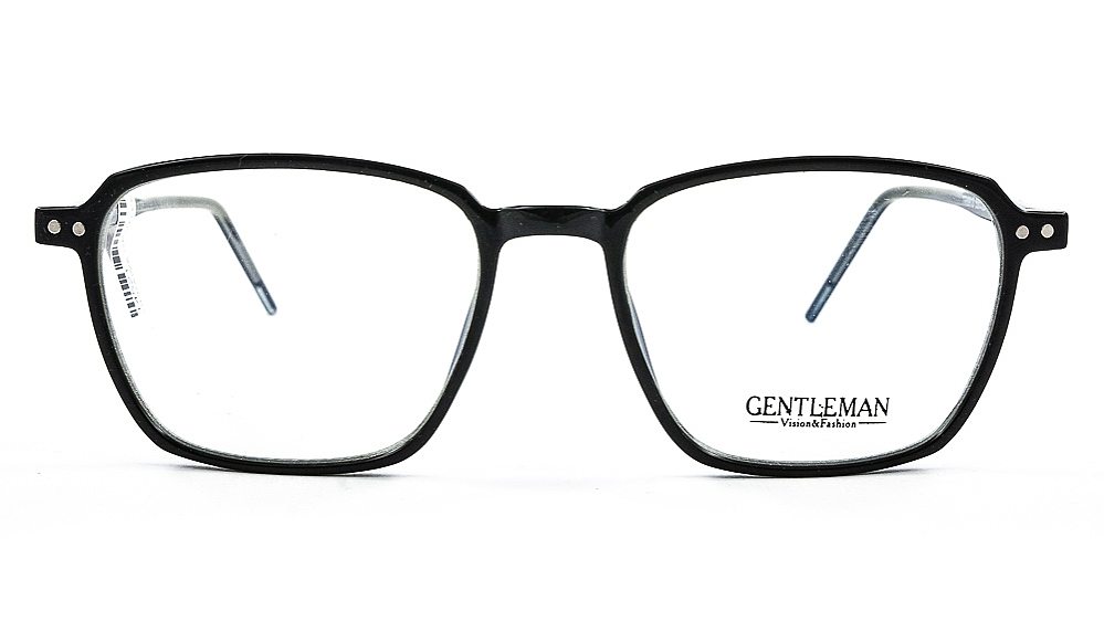 GENTLEMAN TR8913 C1