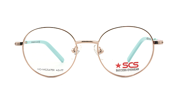 SUCCESS HO-MGS4791 C3