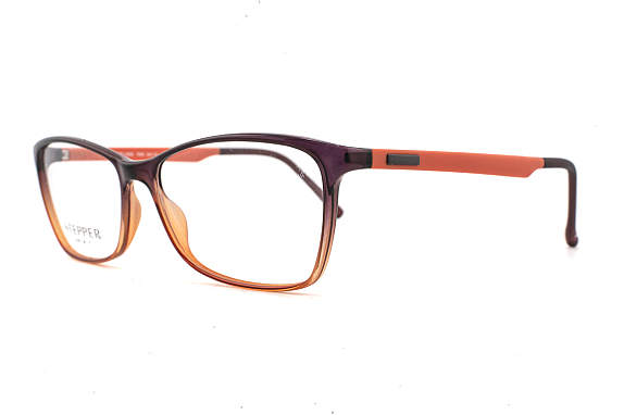 STEPPER STS-10060 F840