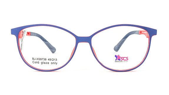 SUCCESS BJ-XS9739 C9