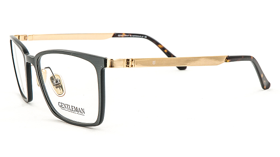 GENTLEMAN ST-9215 C1